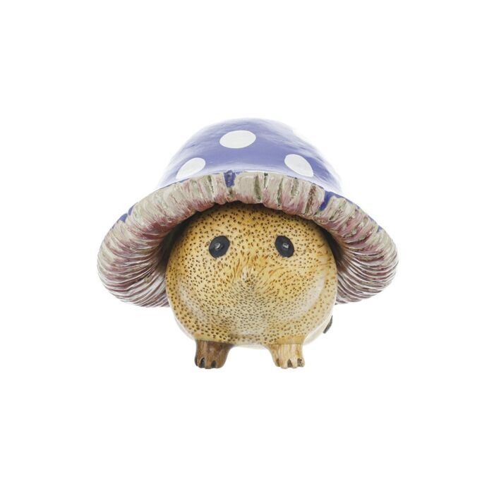 DCUK - Hedgies Hedgehogs